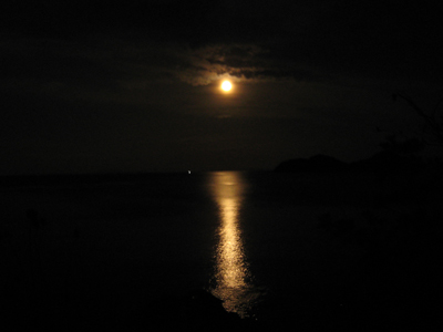 080817_08.jpg